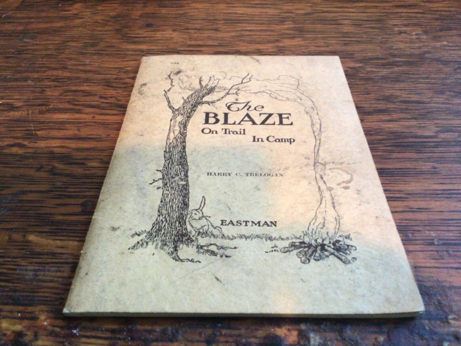 Native American Writer Charles Eastman, The Blaze On Trail In Camp, Axeselection