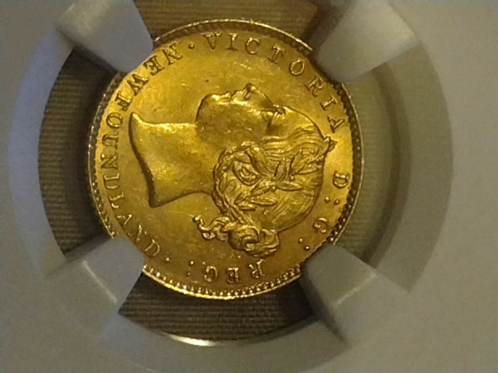 Newfoundland 2 Gold1888 Ms 62