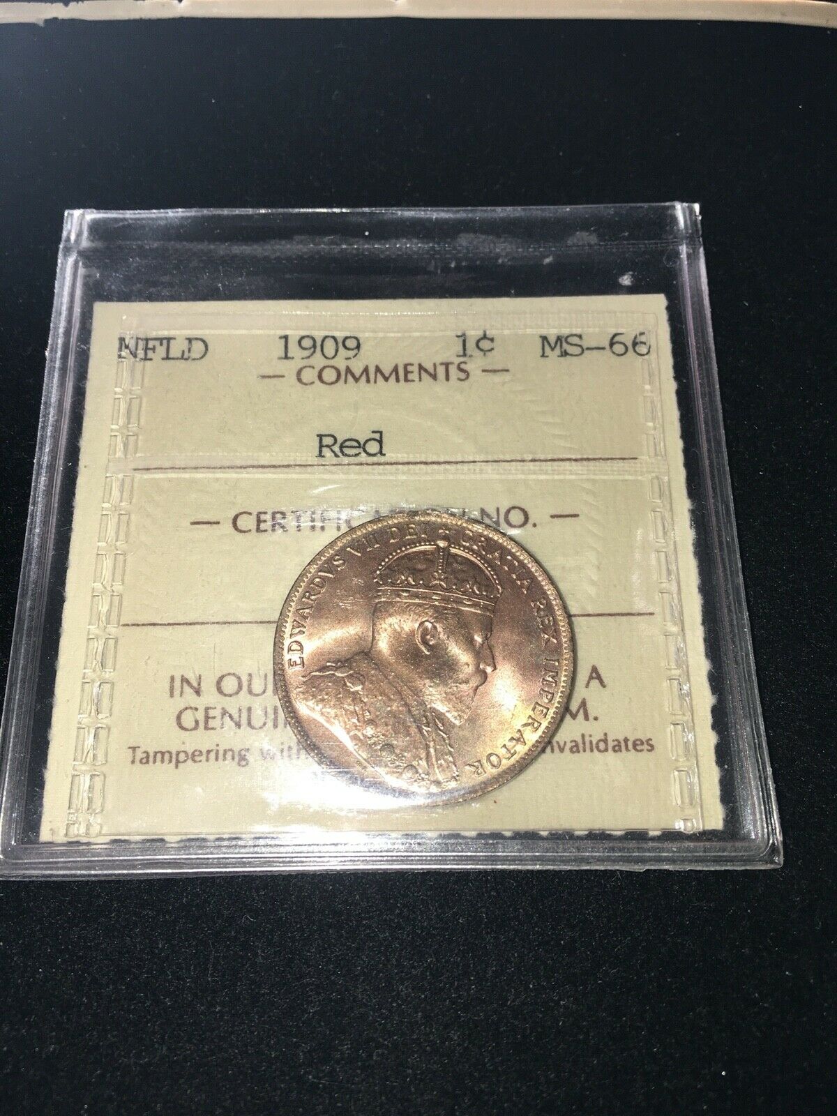 1909  Newfoundland, Large ¢1 Cent, Iccs Graded, **ms-66**