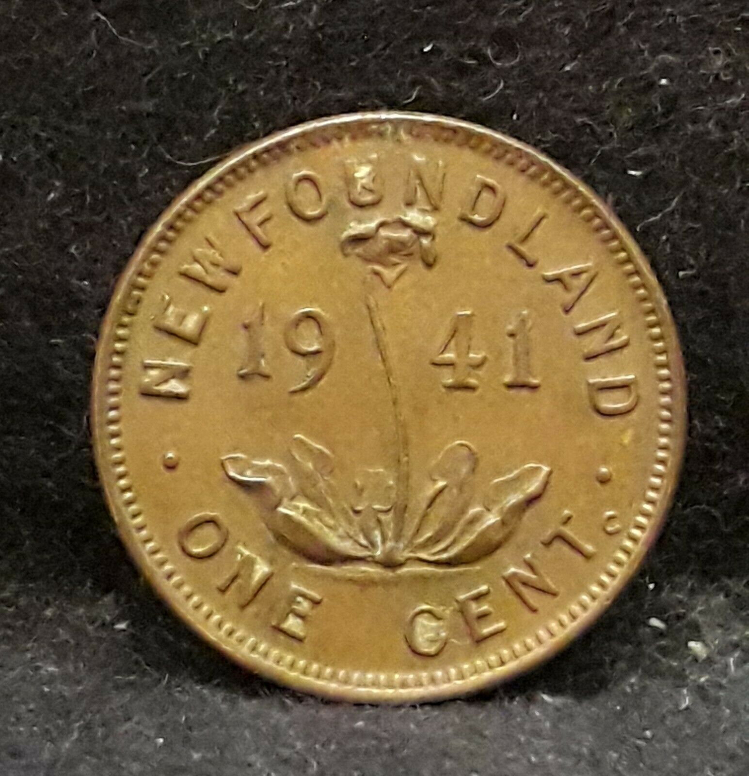 1941-c Newfoundland (canada Maritime) Small Cent, Xf/gxf, Km-18 (nf6)