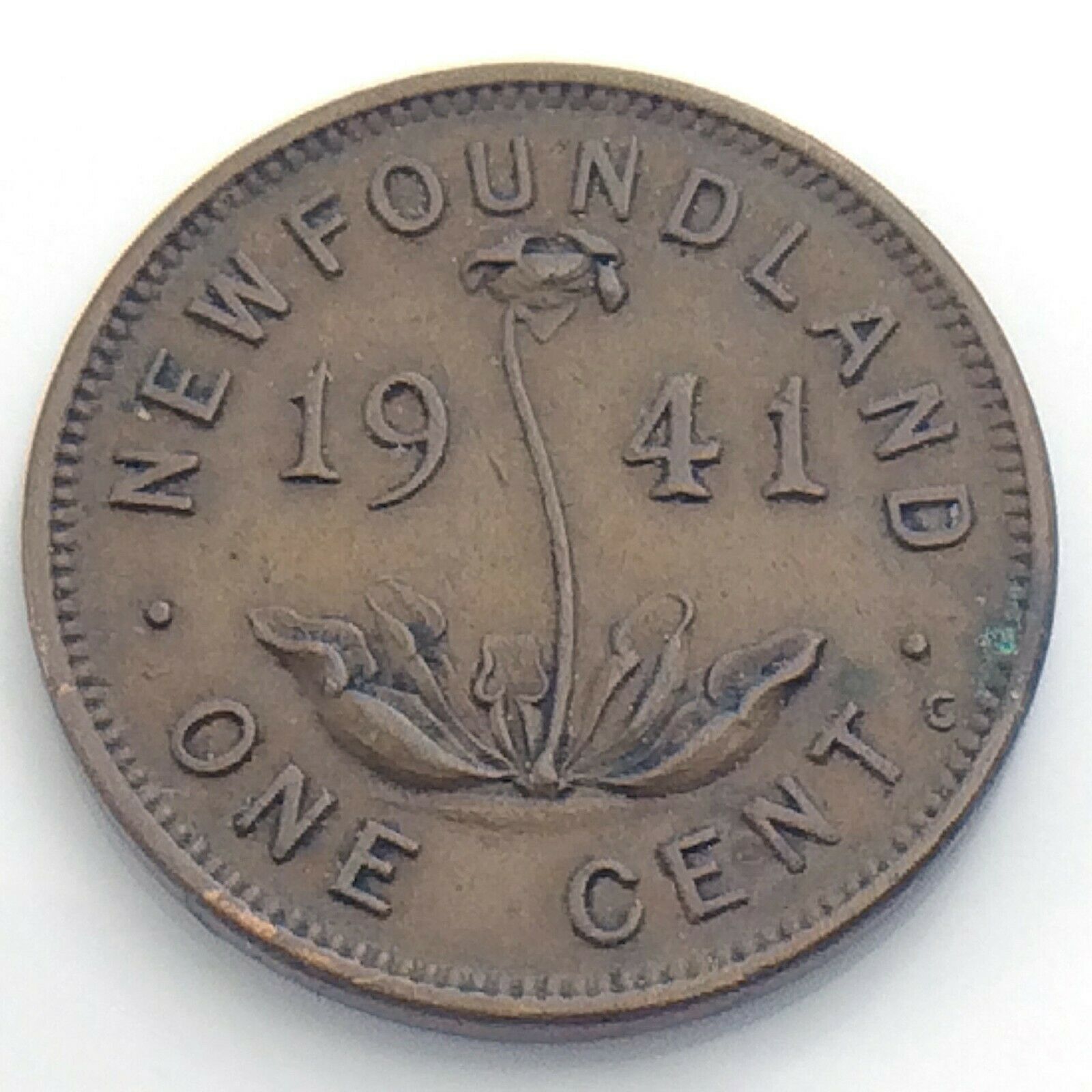1941c Newfoundland Canada One 1 Cent Small Penny Circulated Canadian Coin I910