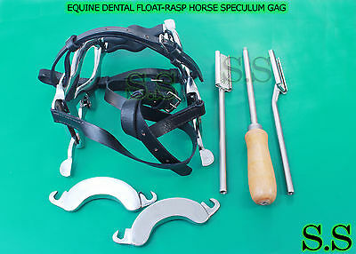 Equine Dental Kit Set Speculum Horse Mouth Gag Float Set Steel Leather Mcpherson