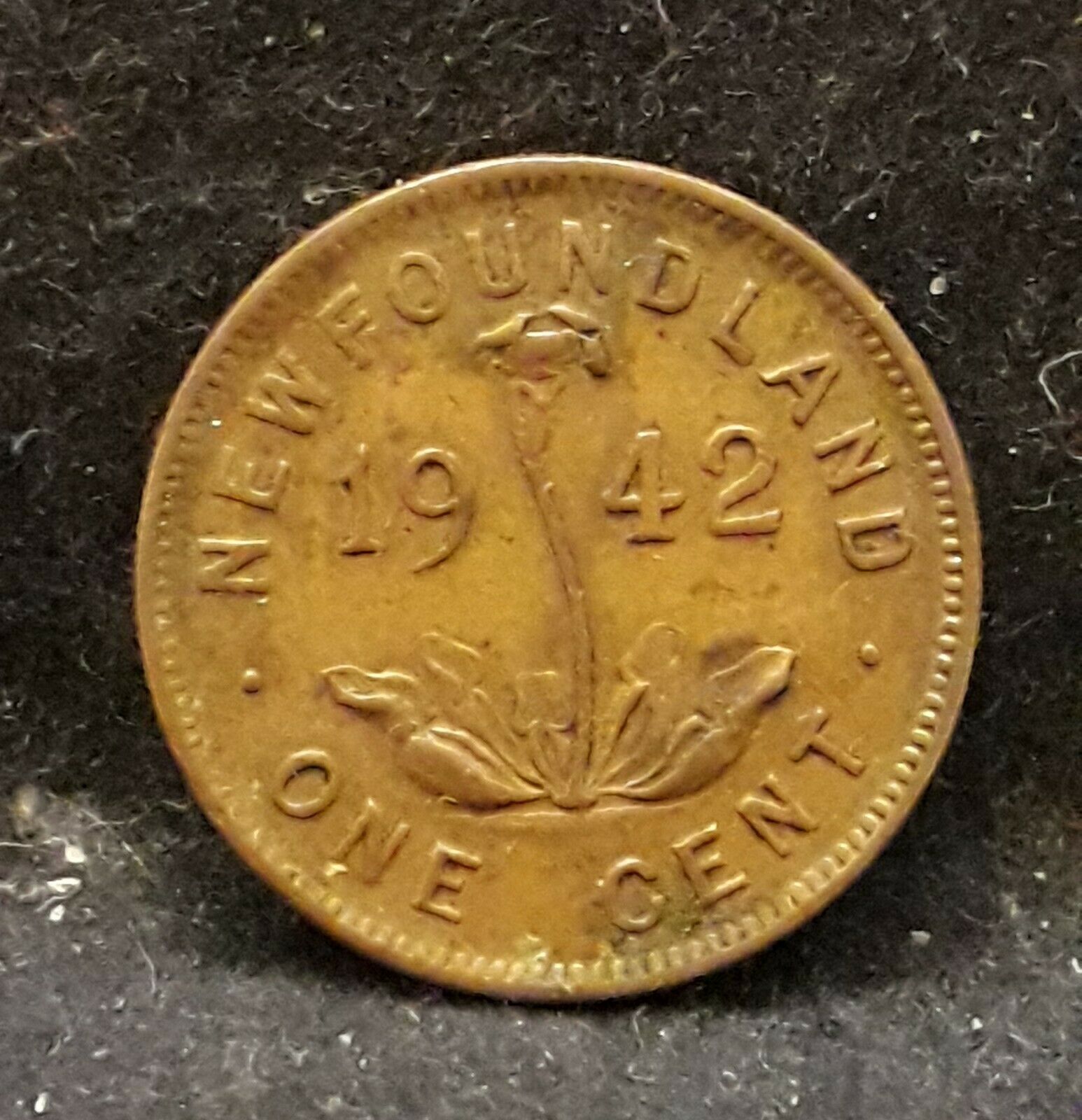 1942(c) Newfoundland (canada Maritime) Small Cent, George Vi, Km-18 (nf8)   /n59